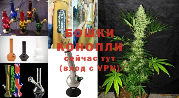 сатива Алексеевка
