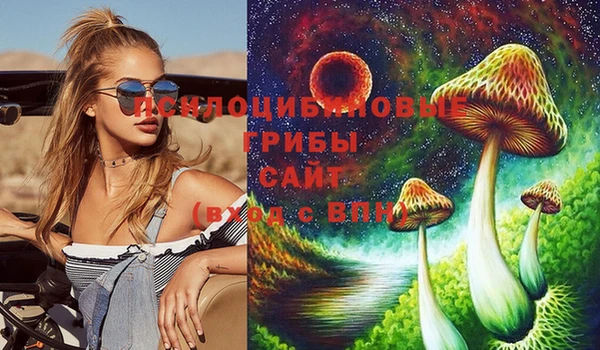 синтетический гашиш Алексин