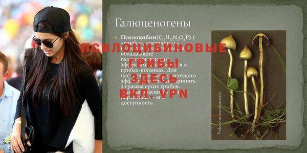 сатива Алексеевка