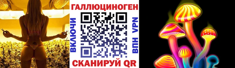 где продают наркотики Анива Галлюциногенные грибы Psilocybine cubensis